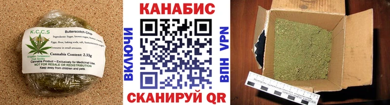 Купить  Новомичуринск  Canna-Cookies конопля 
