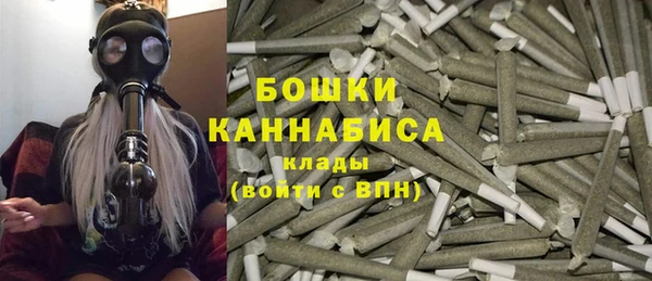 мдпв Дмитриев