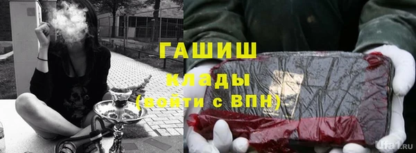 мдпв Дмитриев