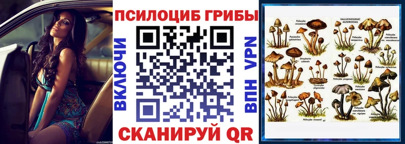 Галлюциногенные грибы Cubensis  Купить где  Новомичуринск 