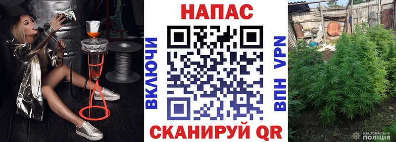 Купить где  Новомичуринск  Шишки марихуана семена 